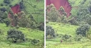 Horrifying Scenes as Landslides in Murang’a Kill Residents