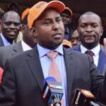 ODM Leader Responds to Allegations of Ruto’s 'ID Strategy' to Win Elections